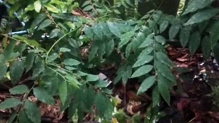 Water as the Source of Life 38