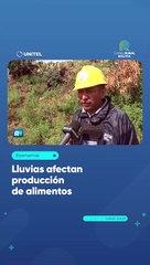 Lluvias afectan producción de alimentos