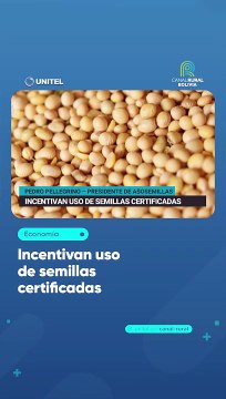 Incentivan uso de semillas certificadas
