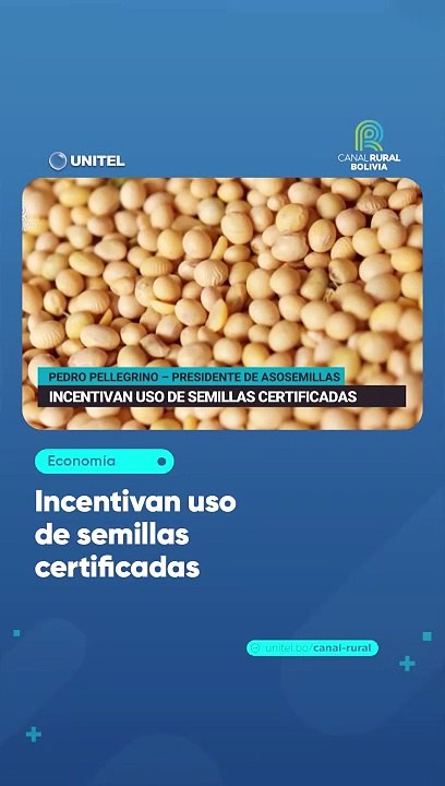 Incentivan uso de semillas certificadas