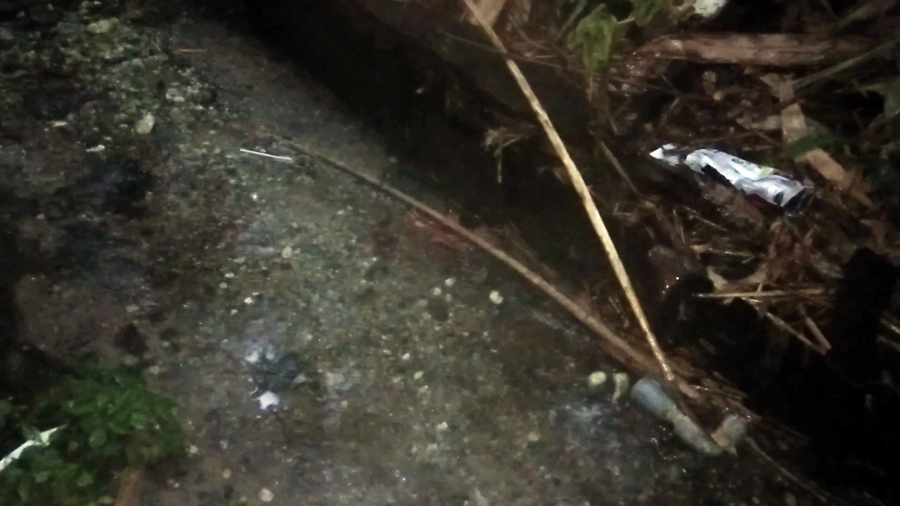 Water as the Source of Life 39