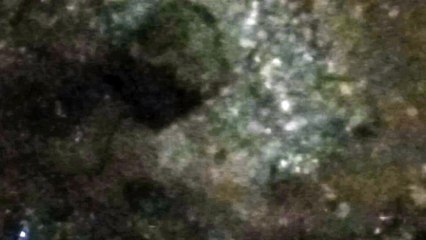 Water as the Source of Life 41