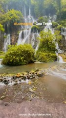 Goa tetes Lumajang Yang Bikin Kamu Takjub Kalo kesana!!
