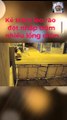 Camera ghi lại cảnh thanh niên leo rào trộm chim ở TP HCM