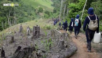 04-10-19 La erradicación de coca se mantiene en el Bajo cauca y todo Antioquia