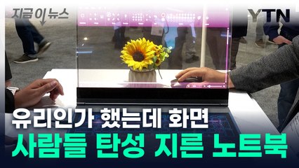 유리인가 했는데 화면...AI 결합된 '투명 노트북' 등장 [지금이뉴스] / YTN