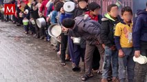 Crisis humanitaria en Gaza: Niños comen comida para animales por hambre