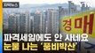 [자막뉴스] '폭포수'처럼 떨어진 집값...영끌족 줄줄이 경매행 / YTN