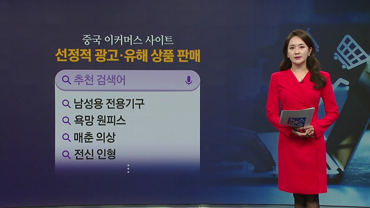 '남성 기구'·'욕망 원피스'...중국 알리 유해성·선정성 논란 [앵커리포트] / YTN