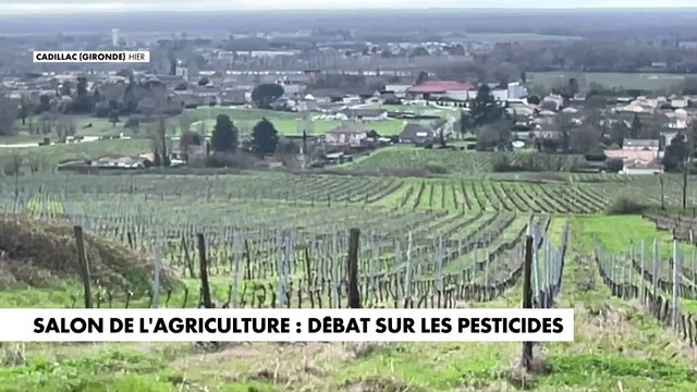 Salon de l'agriculture : débat sur les pesticides
