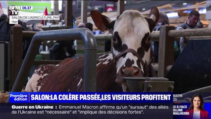 Après les tensions, les visiteurs profitent désormais du Salon de l'agriculture