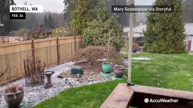 Wintry weather wallops the Northwest