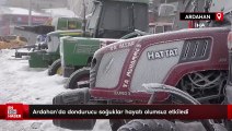 Ardahan'da dondurucu soğuklar hayatı durma noktasına getirdi