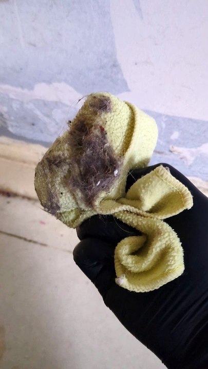 DOG HAIR DIRT FLUFF GREASE CLEANING #CLEANING