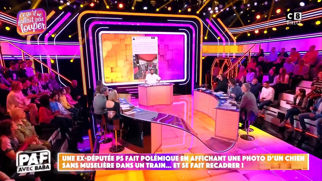 Cette polémique autour d'un chien sans muselière, dans un train, qui enflamme la France et les plateaux télé avec des milliers de vues sur les réseaux sociaux