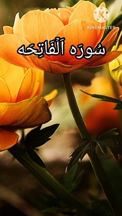 Surah Al Fateha | Surah fateha | Tilawat Surah fateha | Learn Quran