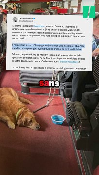 Le chien dans le train sans muselière, c’est permis ?