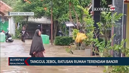 Banjir Terbesar Sejak 2018! Ratusan Rumah Terendam, Tanggul Sungai Pemali Jebol!