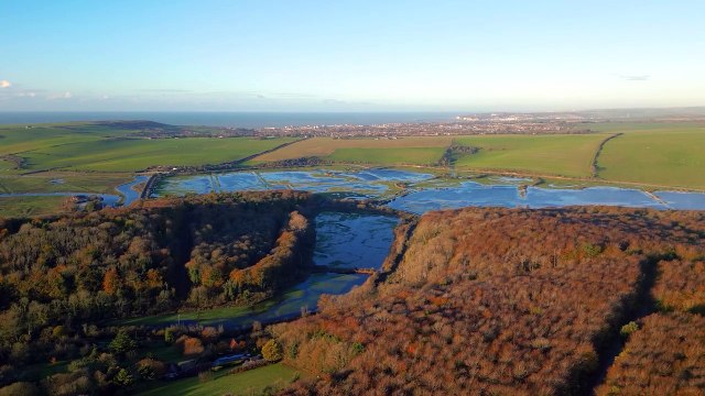 Marine habitats across 100 miles of Sussex coastline to benefit from charity funding