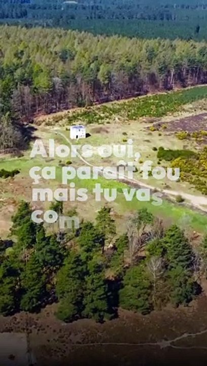 Quand vos cheveux sauvent les rhinos 
