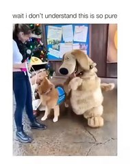 Found a fan who dressed like me