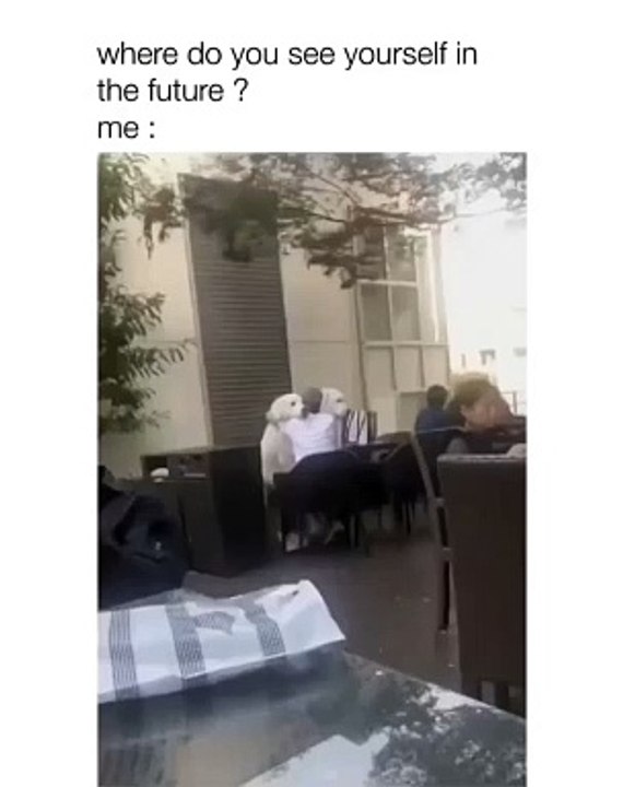 Comment your thoughts please