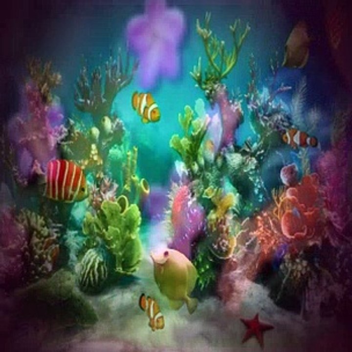 Dora The Explorer S07E11 Baby Bongos Big Music Show