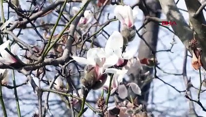 Çarşıdan pazara markete şimdi de yalancı bahar zammı geliyor