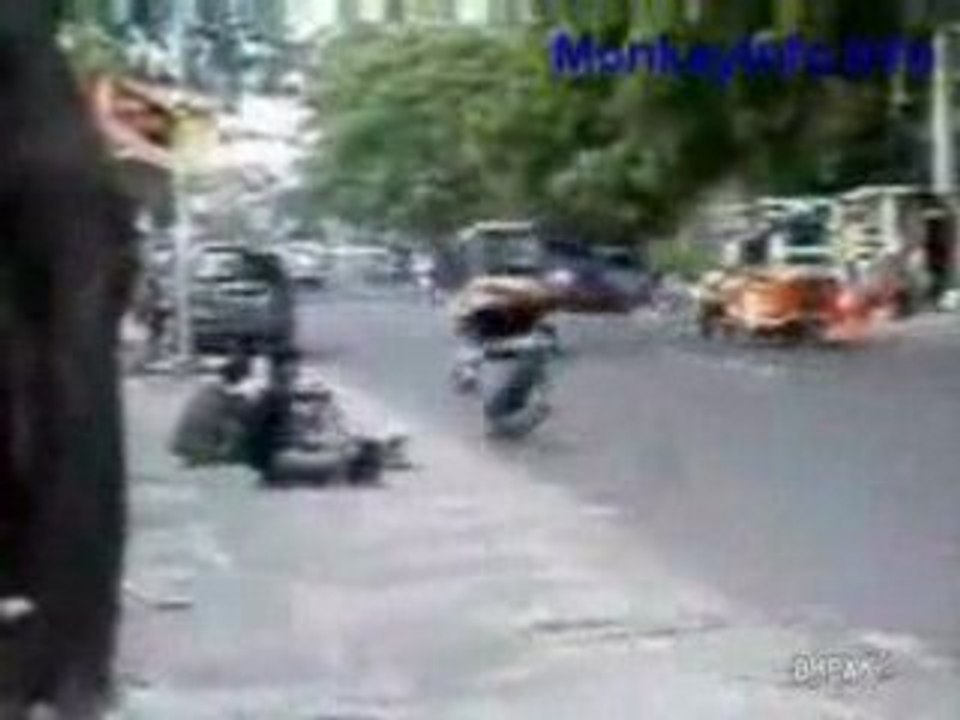 Singe à moto !!!!