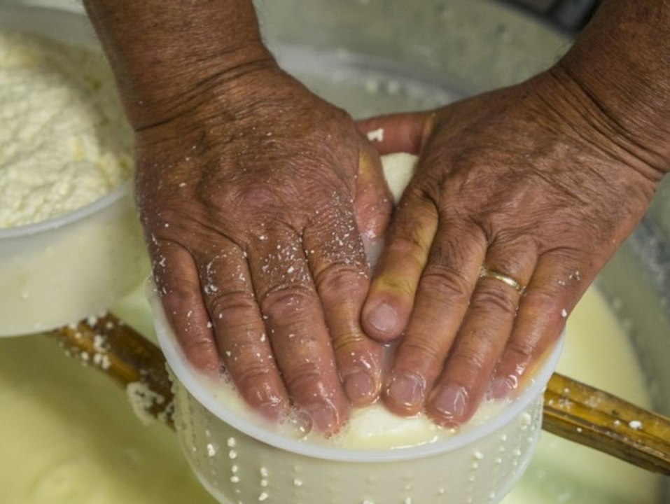 Alter schlägt Jugend: Molkerei-Chef stellt nur Mitarbeiter über 60 ein