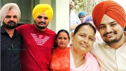 Sidhu Moosewala Mother Pregnant: सिद्धू की मां हैं प्रेग्नेंट, जल्द गूंजेंगी किलकारियां, Fans बोले..