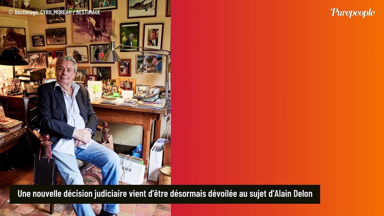 Alain Delon, des armes saisies à son domicile à Douchy : explications de la perquisition des gendarmes