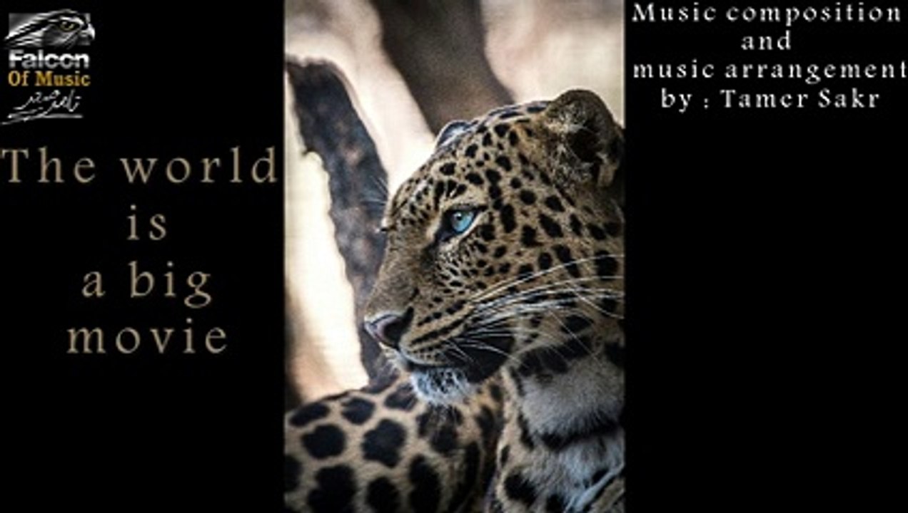 The world is a big movie