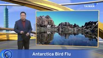 First Bird Flu Cases Confirmed in Antarctica
