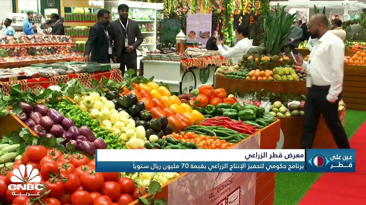 إنتاج قطر للطاقة من الغاز المسال يرتقع إلى 142 مليون طن في 2030 والسيولة المحلية تقفز لأعلى مستوياتها عند 735 مليار ريال