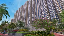 VTP Dolce Vita, New Kharadi, Pune | 2, 2.5 & 3 BHK Premium Residences In New Kharadi, Pune | VTP Realty Pune