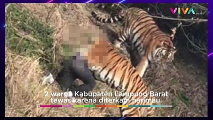 Pemerintah Minta Warga Lampung Pakai Topi Terbalik