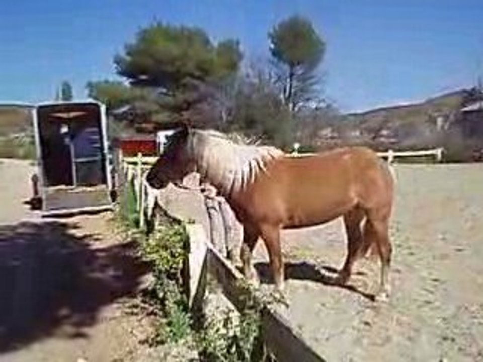 04 04 08 011