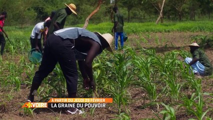 LA GRAINE DU POUVOIR [AFRO PLURIEL] - DU LUNDI AU VENDREDI À 16H40 À PARTIR DU 29 FEVRIER 2024
