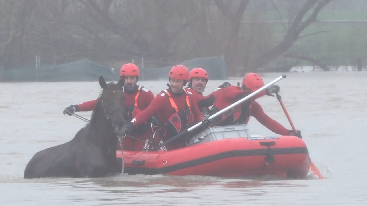 Los bomberos rescatan a un caballo atrapado por un desbordamiento por las intensas lluvias en Vitoria