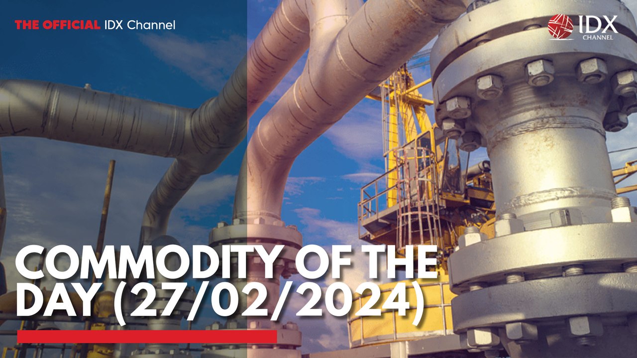Commodity of the Day (27/02/2024)