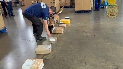 Organização criminosa usava serviço dos Correios para tráfico de drogas