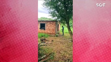 PF e Polícia Nacional do Paraguai localizam pai e filho sequestrados em Curitiba