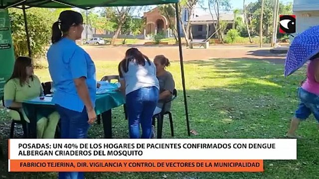 Posadas un 40% de los hogares de pacientes confirmados con dengue albergan criaderos del mosquito