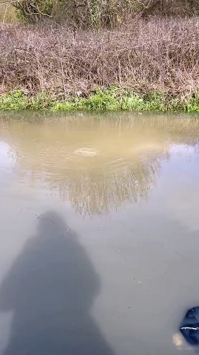 Bexhill Road, A259, has flooded for the second day near to the junction of Filsham Road, St Leonards