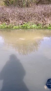 Bexhill Road, A259, has flooded for the second day near to the junction of Filsham Road, St Leonards