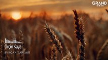 Orçin Kaya - Burçak Tarlası (Official Audio)