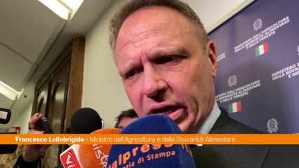 Sardegna, Lollobrigida "Todde più attrattiva, coalizione positiva"