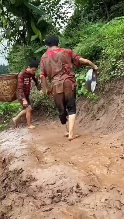 try not to laugh