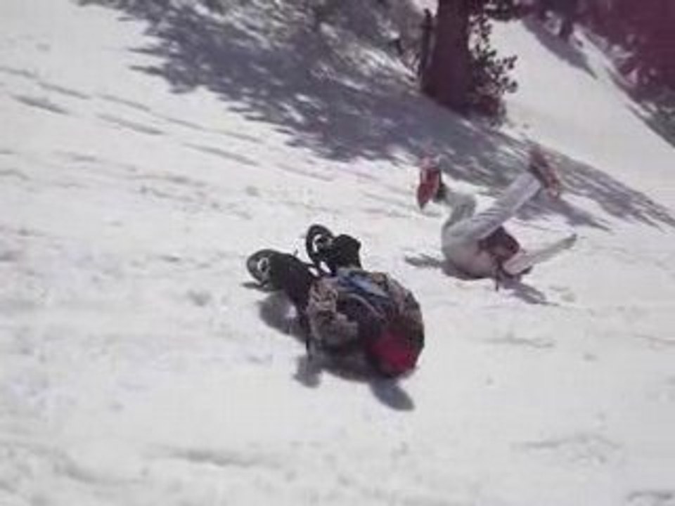 teddy , amelie, juliette, victoria